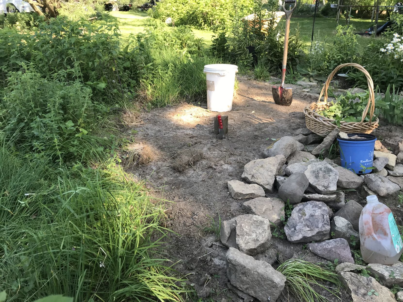Pat Greathead's garden "before"